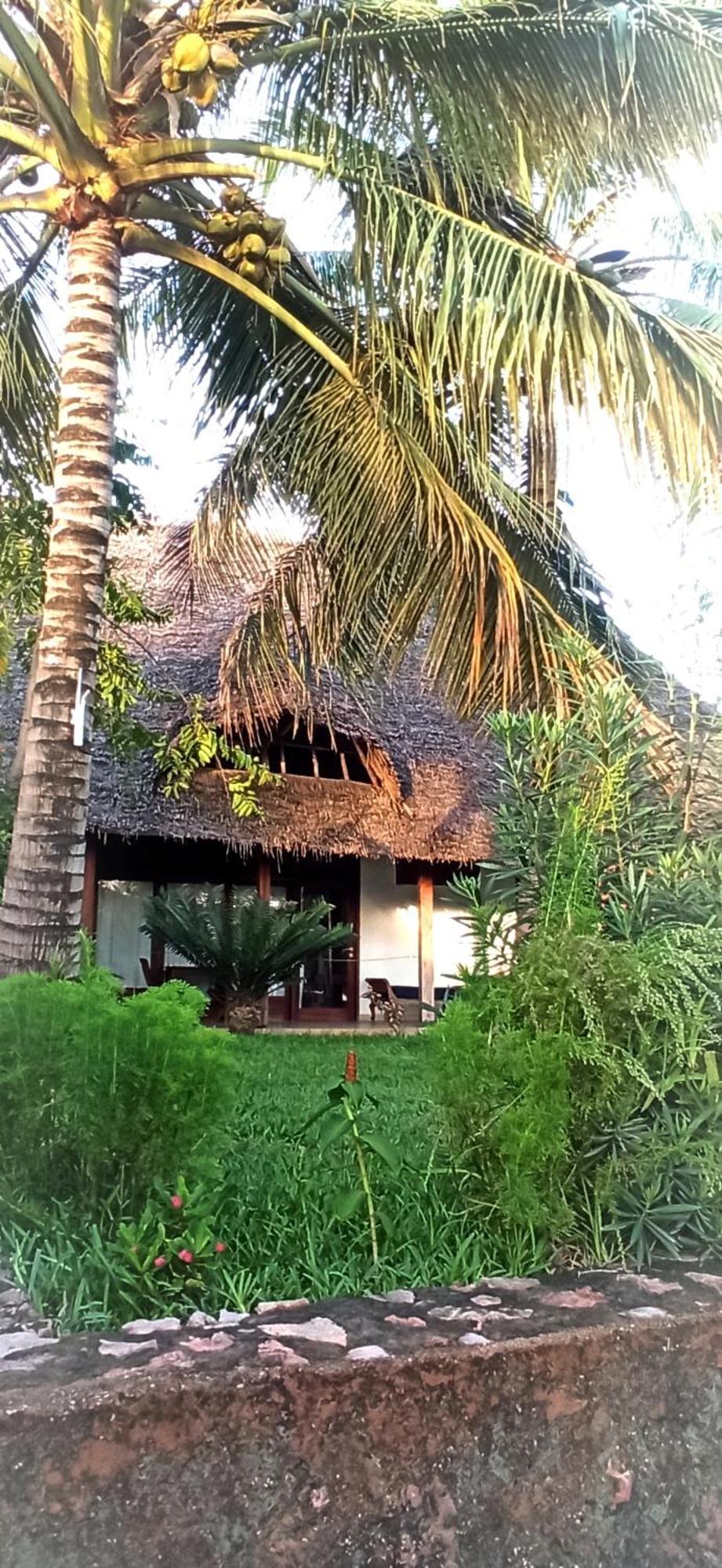 Art Hotel Zanzibar Jambiani  Exterior photo